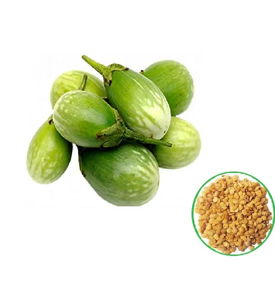 Industrial Drag Chain Scraper System